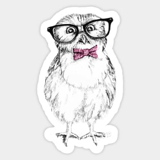 Nerdy Owlet Sticker